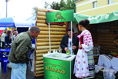 "Дажынкi 2013" в Ляховичах