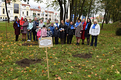 14 октября в День матери по инициативе Брестской областной организации ОО «Белорусский союз женщин» в Городском саду города Бреста была высажена аллея магнолий.